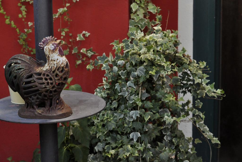 B&B Edera Castagnole Piemonte Exterior photo